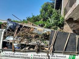 Best Dumpster Rental Services  in Oak Hills, CA